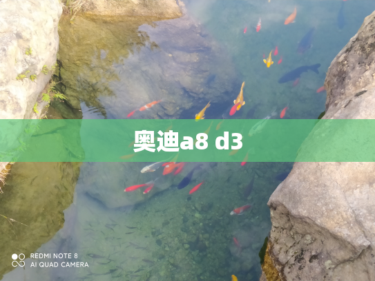 奥迪a8 d3