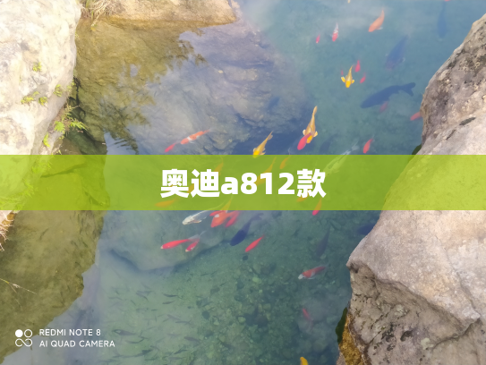 奥迪a812款