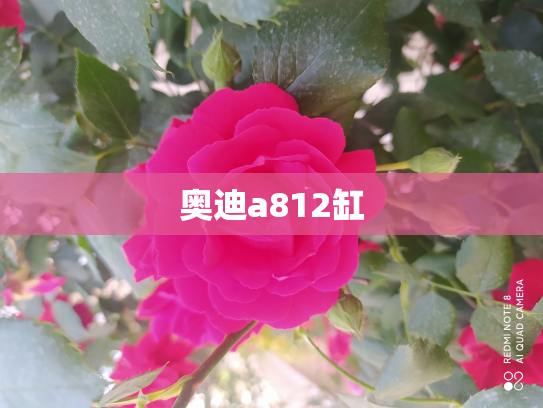 奥迪a812缸