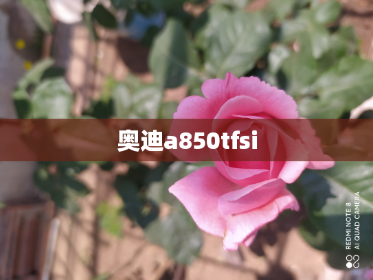 奥迪a850tfsi