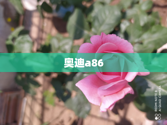奥迪a86