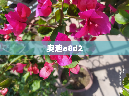 奥迪a8d2