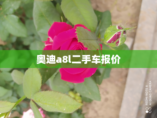 奥迪a8l二手车报价