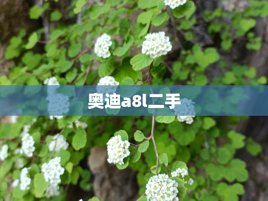 奥迪a8l二手