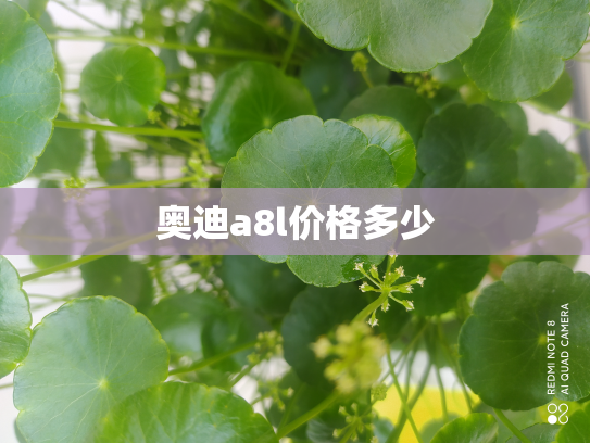 奥迪a8l价格多少