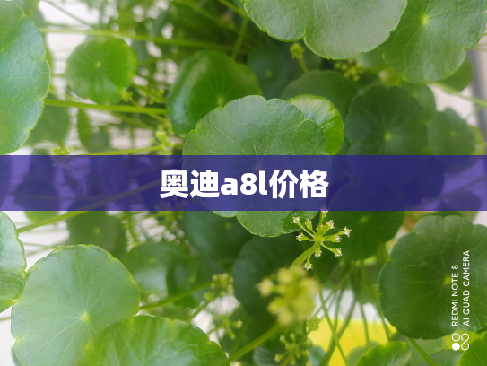 奥迪a8l价格