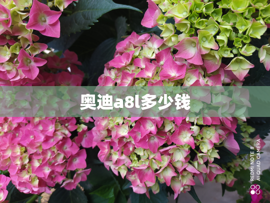 奥迪a8l多少钱