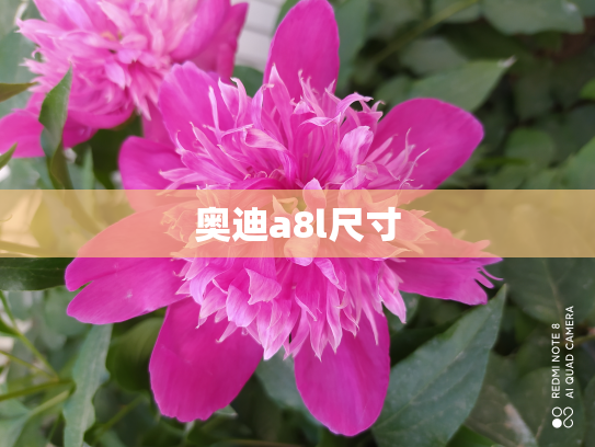 奥迪a8l尺寸
