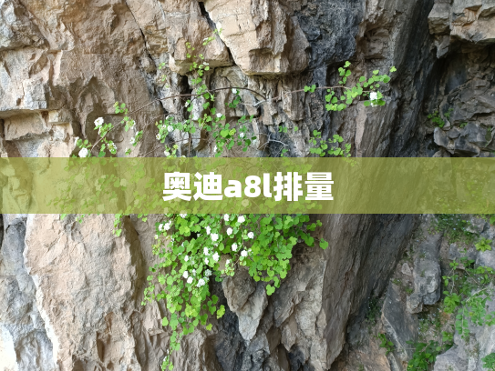 奥迪a8l排量