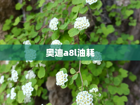 奥迪a8l油耗