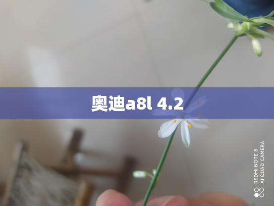 奥迪a8l 4.2