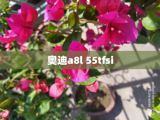 奥迪a8l 55tfsi