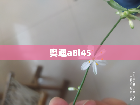 奥迪a8l45