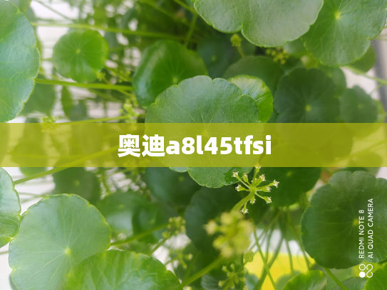 奥迪a8l45tfsi