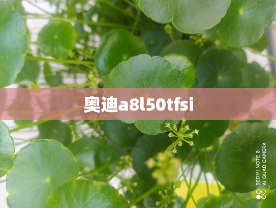 奥迪a8l50tfsi