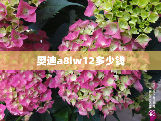 奥迪a8lw12多少钱
