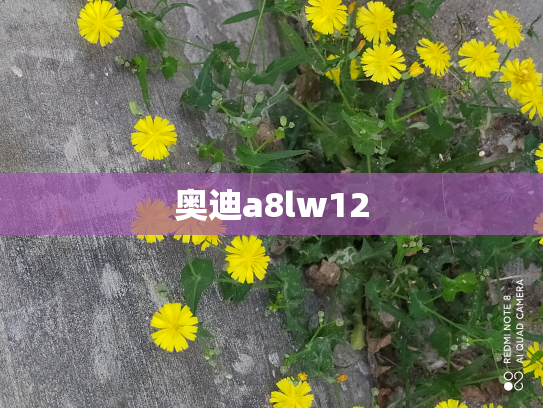 奥迪a8lw12
