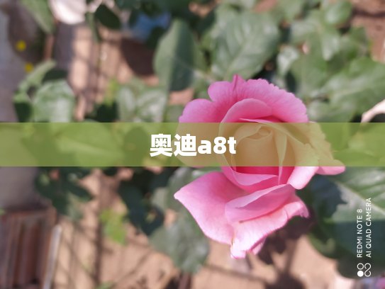 奥迪a8t