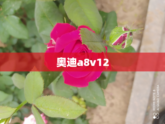 奥迪a8v12