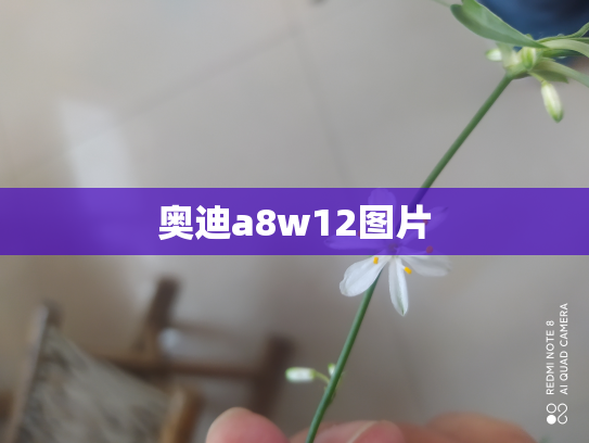 奥迪a8w12图片