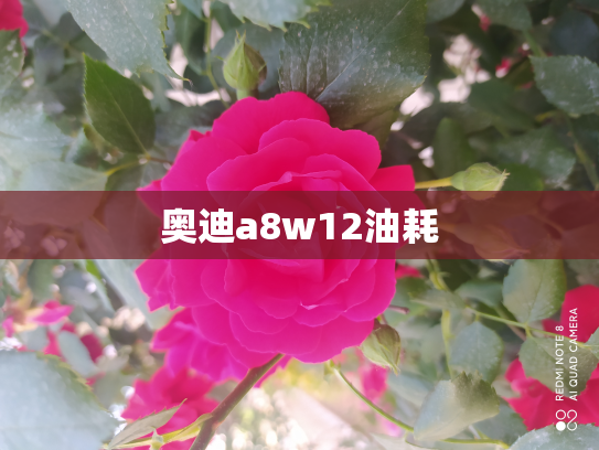 奥迪a8w12油耗