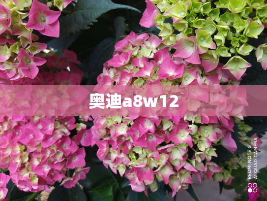 奥迪a8w12