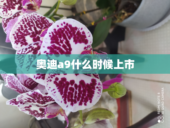 奥迪a9什么时候上市