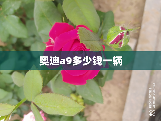 奥迪a9多少钱一辆