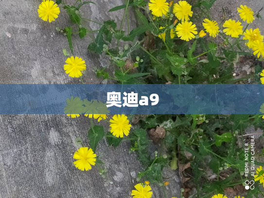 奥迪a9