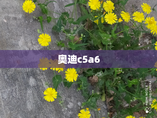 奥迪c5a6
