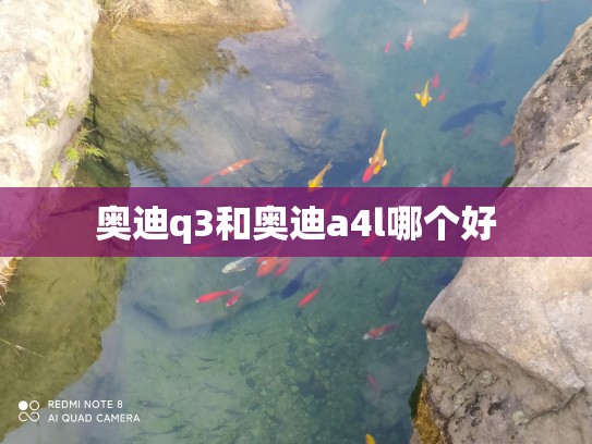 奥迪q3和奥迪a4l哪个好