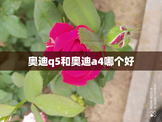 奥迪q5和奥迪a4哪个好