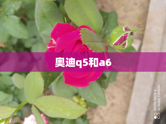 奥迪q5和a6