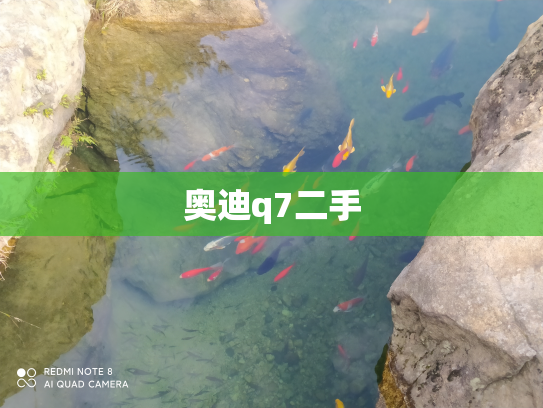 奥迪q7二手