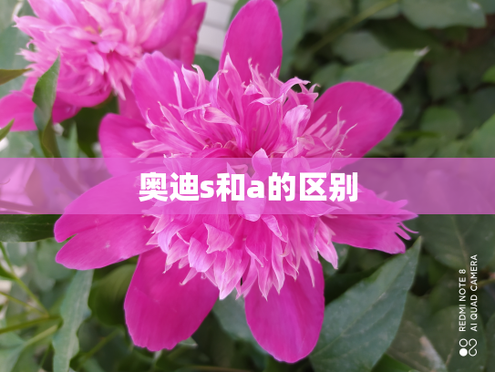 奥迪s和a的区别