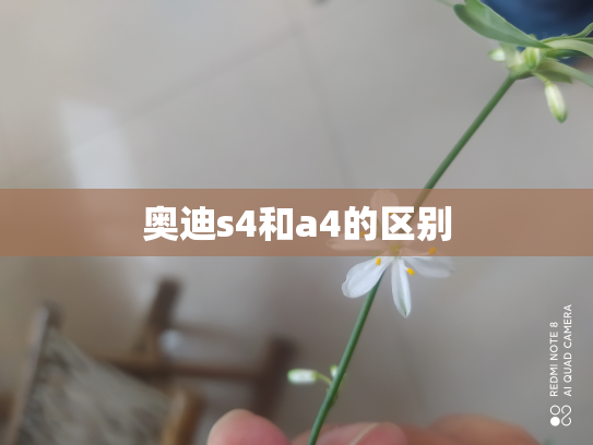 奥迪s4和a4的区别