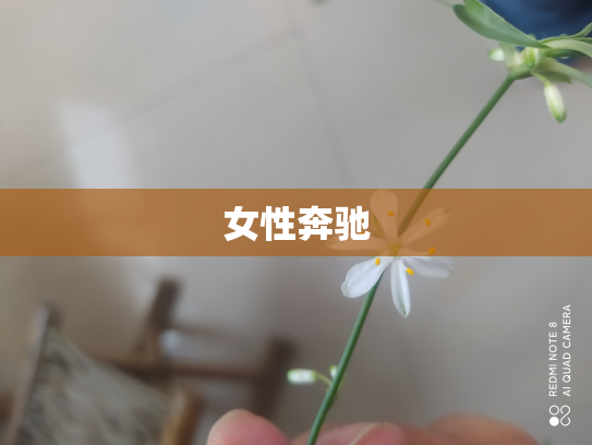 女性奔驰