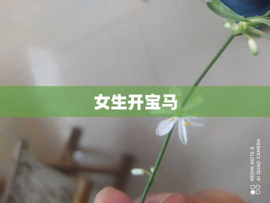 女生开宝马