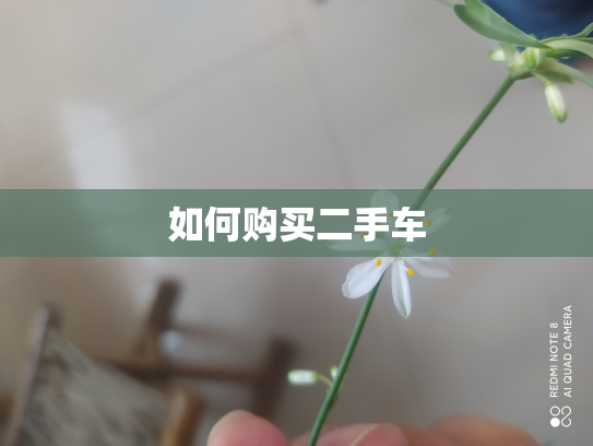如何购买二手车