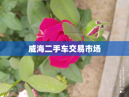 威海二手车交易市场