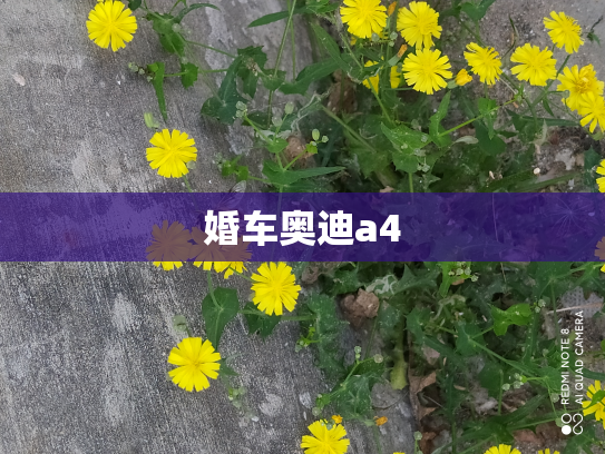 婚车奥迪a4