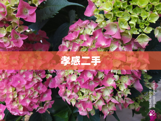 孝感二手