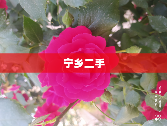 宁乡二手