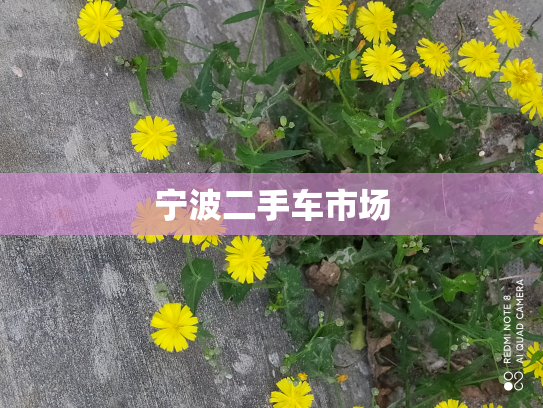 宁波二手车市场