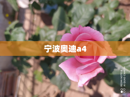 宁波奥迪a4