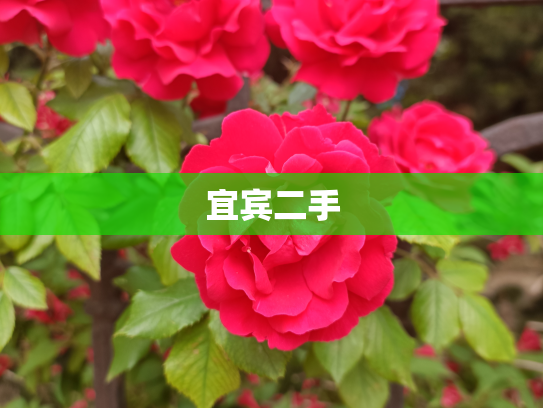 宜宾二手
