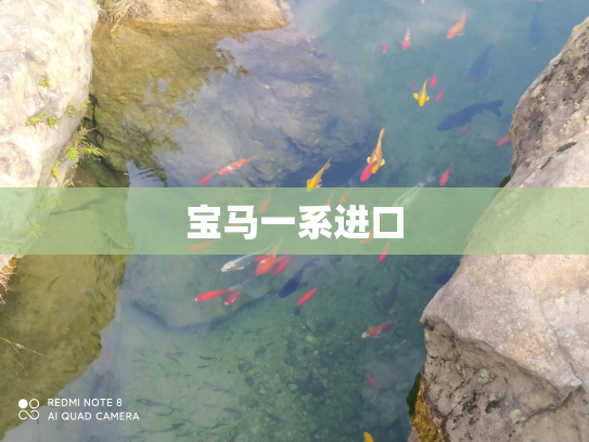 宝马一系进口
