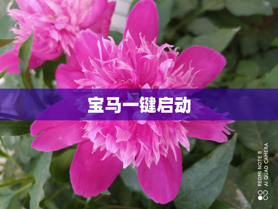 宝马一键启动