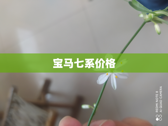 宝马七系价格