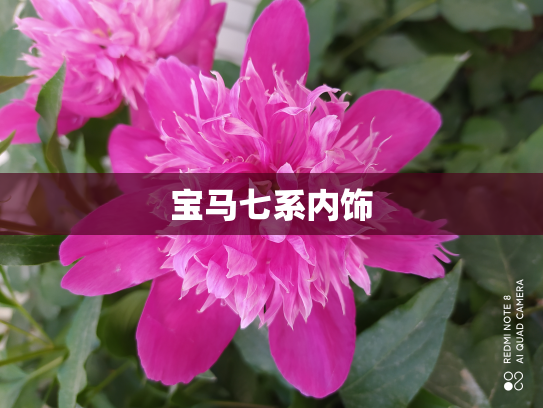 宝马七系内饰